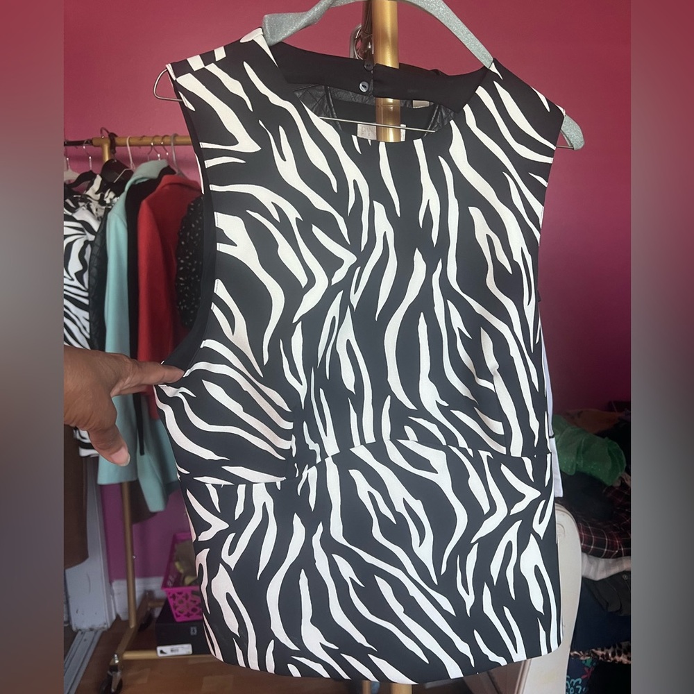 Zara Zebra Print Satin Top